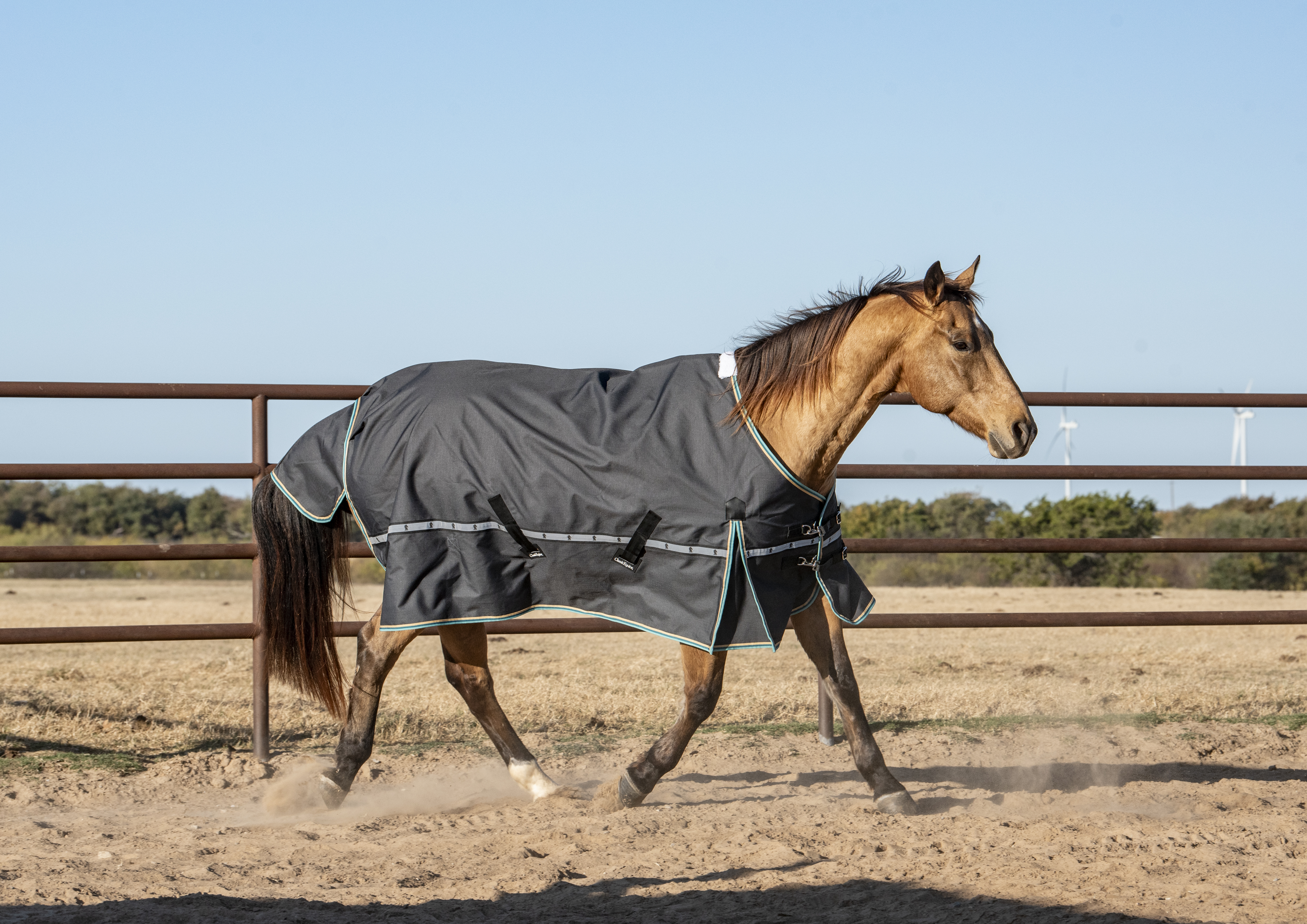 Windbreaker turnout sheet, lightweight wind-resistant horse
              sheet with extended tail flap for mild climates